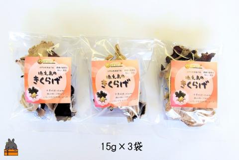 天然水使用・完全天日干し徳之島産きくらげ（3袋）【ポストイン配送】( きのこ 健康 国産 安心 安全 和食 中華料理 こりこり 料理 天然水 中華丼 汁物 具材 朝食 昼食 夕食 )