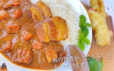 ～島豚の角煮が“ごろっと”入った～徳之島豚カレー 6食入り ( レトルトカレー ご当地カレー スパイシー 徳之島 奄美 鹿児島 豚肉 豚角煮 美農里館 )