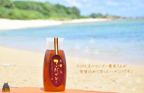 徳之島産完熟“生”ハチミツ「てぃだがなし」（大）（500g×2本）( はちみつ ハニー 徳之島 お菓子 調味料 自然食品 スイーツ 生 100% パンケーキ ケーキ 奄美 鹿児島 )