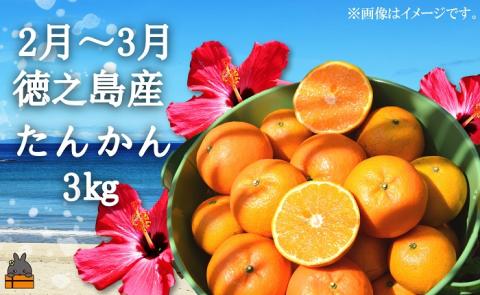 フルーツアイランド徳之島 フルーツ定期便 ( 3回お届け 完熟マンゴー マンゴー パッションフルーツ たんかん 柑橘 果物 徳之島 奄美 鹿児島 定期便 世界自然遺産 旬 )