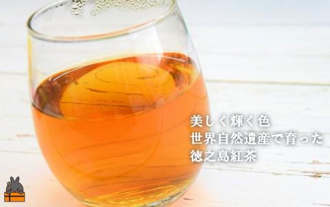 国産べにふうきの豊かな味わい。徳之島紅茶40g（ティーパック2.5g×16P） ( 国産 紅茶 ティー Tea 茶葉 ティーパック ミルクティー べにふうき お菓子 スイーツ 徳之島 奄美 鹿児島 )