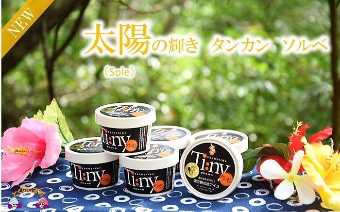 ～南の島からお届けします～太陽の輝きタンカンソルベ