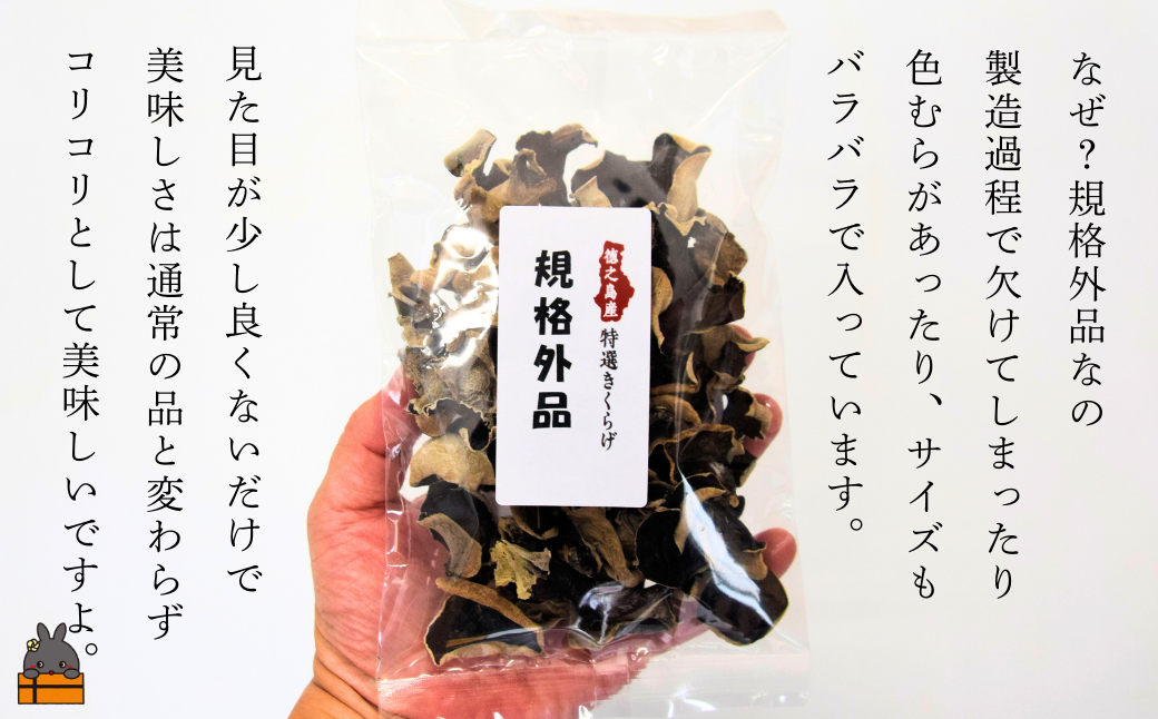 《訳あり》安心・安全 徳之島産きくらげ（規格外品）80g（40g×2袋） ( キクラゲ きのこ キノコ 野菜 ワケあり 徳之島 奄美 国産 数量限定 レターパックライト配送 ポストイン )