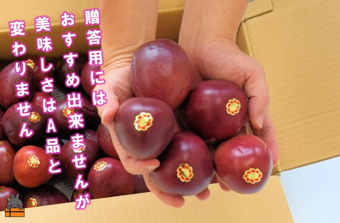 《今が旬！》【訳あり】南原(はいばる)農園さんの家庭用パッションフルーツ（約３kg） ( 訳有 わけあり 家庭用 キズ 色むら サイズ違い パッションフルーツ 果物 フルーツ 旬 南国 香り 奄美 徳之島 鹿児島 美味しい )