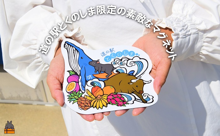 道の駅とくのしまオリジナルマグネット （2枚） ( マグネットシート ロゴ 道の駅 道の駅とくのしま オリジナル 小物 アイテム 徳之島 奄美 鹿児島 うさぎ アマミノクロウサギ クジラ フルーツ 果物 マンゴー うさぎ pokke104 pokkeさん レターパックライト ポストイン配送 )