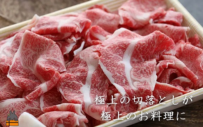 毎回約700頭から厳選された 鹿児島黒毛和牛 切り落とし 800g ( 厳選 プレミアム 高品質 鹿児島黒毛和牛 黒毛和牛 牛肉 万能 料理 徳之島 奄美 鹿児島 ギフト お中元 お歳暮 ステーキ ご馳走 記念日 高島屋 )