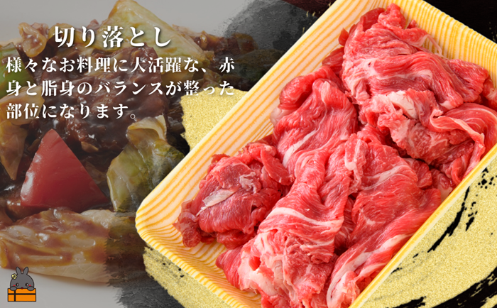 40代からの赤身を極めた鹿児島黒毛和牛切り落とし600g ( 厳選 赤身 プレミアム 高品質 鹿児島黒毛和牛 黒毛和牛 牛肉 万能 料理 徳之島 奄美 鹿児島 すき焼き しゃぶしゃぶ 高島屋 )