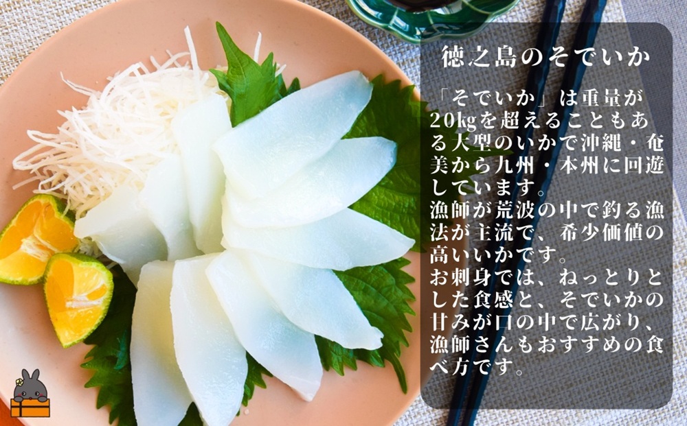 徳之島の漁師が荒波で釣り上げたそでいか 冷凍お刺身用小分け柵 1.5kg（約15人前） （ ソデイカ いか イカ 大型のいか 回遊 お刺身 甘い ねっとり 冷凍 新鮮 お寿司 料理 徳之島 奄美 沖縄 鹿児島 海鮮 umi-otoとくのしま ）
