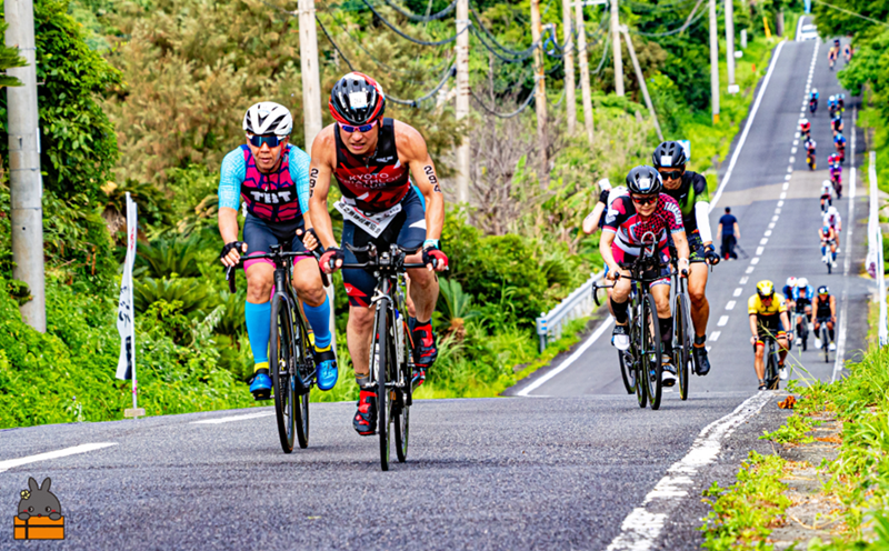 第39回2026トライアスロンIN徳之島大会参加券（総合クラス） ( トライアスロン 参加券 スポーツ スイム バイク ラン 大会 総合クラス 徳之島 世界自然遺産 徳之島町 天城町 伊仙町 )