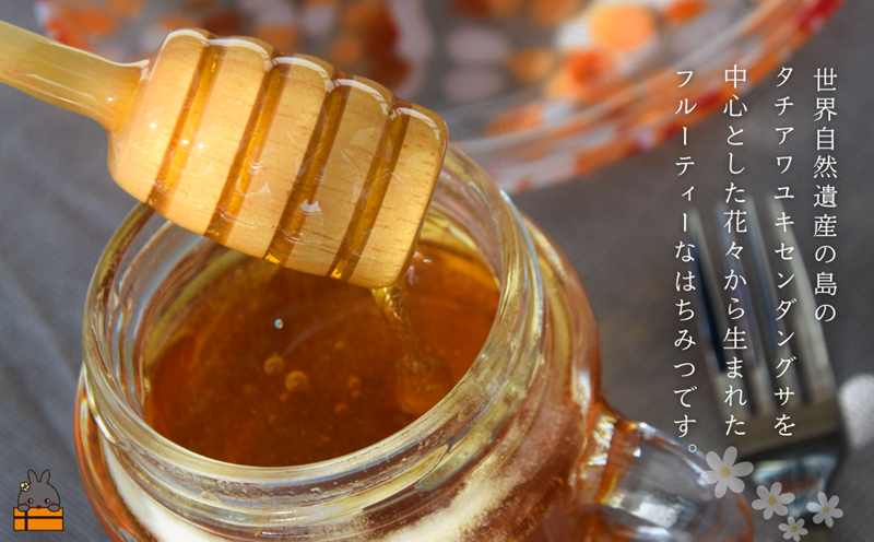 世界自然遺産の島から TOKUNOSHIMAの純粋ハチミツ（180g×3個） （ はちみつ 奄美 徳之島 鹿児島 調味料 宝果樹園 ）
