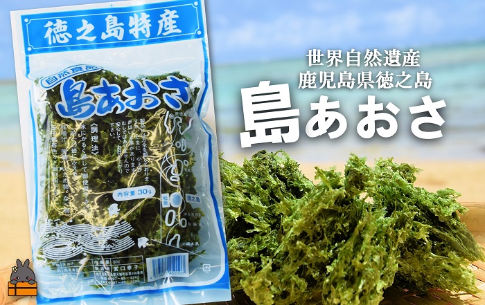 《2026年とれたて！》～煌めきの島から贈り物～徳之島産「島あおさ」（6袋）( アオサ のり 海苔 海産物 お味噌汁 食材 海 新鮮 徳之島 奄美 鹿児島 美味しい )