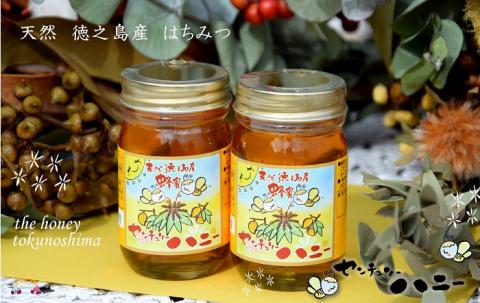 ～徳之島のマンゴー農家さんが作ったはちみつ～センチュリーハニー（2本）( ハチミツ ハニー 徳之島 お菓子 調味料 自然食品 スイーツ 生 100% パンケーキ ケーキ 奄美 鹿児島 )