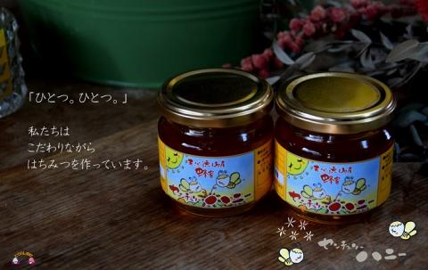 ～徳之島のマンゴー農家さんが作ったはちみつ～センチュリーハニー（大）( ハチミツ ハニー 徳之島 お菓子 調味料 自然食品 スイーツ 生 100% パンケーキ ケーキ 奄美 鹿児島 )