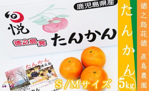 【すぐに発送！】徳之島花徳直島農園さんのたんかん5kg（S/Mサイズ混合）