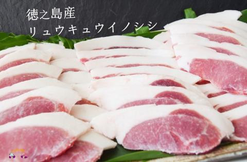 ～THEジビエ 自然を食べる。～リュウキュウイノシシ（ロース）