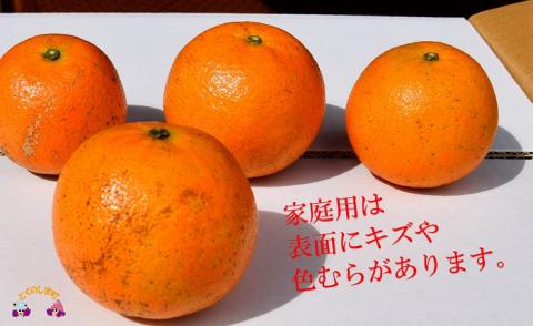 【家庭用】徳之島直島果樹園さんの家庭用たんかん10kg