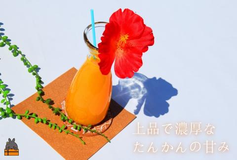 NEW！徳之島の直島農園が育てた樹上完熟たんかんしぼり（720ml×3本） ( フルーツ ジュース 果汁 果物 柑橘 徳之島 鹿児島 濃厚 贅沢 太陽 恵み 健康 美味しい )