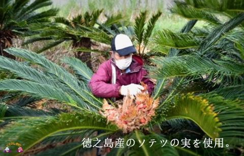 ～徳之島産ソテツの実を使用～昔ながらのなり味噌（無添加）  ( 味噌 みそ 調味料 ソテツ 伝統 徳之島 奄美 鹿児島 文化庁 100年フード 郷土料理 美味しい )