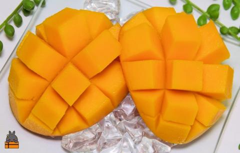 《先行予約》徳之島センチュリー果樹園さんの完熟マンゴー（1㎏）　( マンゴー フルーツ 果物 完熟 無加温 徳之島 世界自然遺産 美味しい とろける 旬 贅沢 糖度 南の島 )