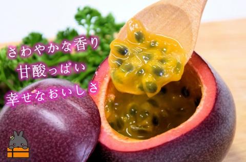 《2026年6月～7月配送！》太陽が育てた徳之島産パッションフルーツ（1kg） ( 旬 フルーツ 果物 島フルーツ 酸味 甘み 徳之島 奄美 鹿児島 プチプチ 食感 果汁 フレッシュ 美味しい 美容 )