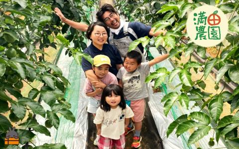 【先行予約】満田農園さんのパッションフルーツ（約1.2kg） ( 旬 パッション フルーツ 果物 島フルーツ 酸味 甘み 徳之島 奄美 鹿児島 プチプチ 食感 果汁 フレッシュ 美味しい 美容 )	