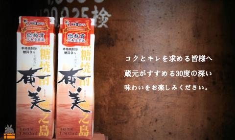 《蔵元直送便》本格黒糖焼酎 奄美30度パック1800ｍｌ×2本