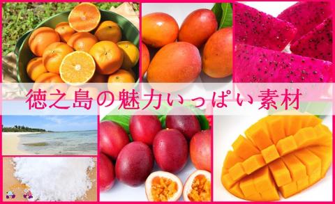 《お中元・夏の贈り物》徳之島プレミアムジェラート＆ソルベ（8個入）