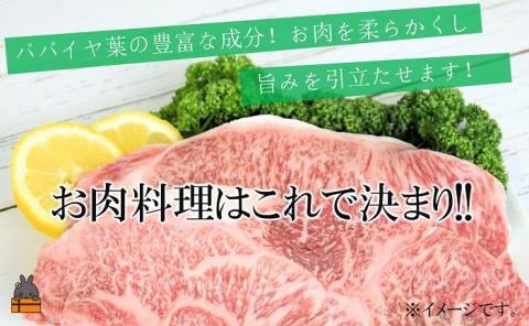 「お肉料理はこれで決まり!!」パパイヤスパイス（島とうがらし40g）