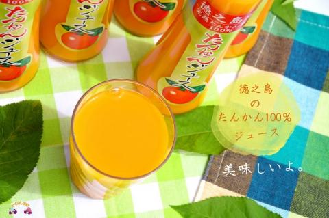 【2024年収穫！】～果汁そのまま濃厚ジュース～ 徳之島のたんかんジュース（300ｃｃ×5本） ( フルーツ ジュース 果汁 果物 柑橘 徳之島 鹿児島 濃厚 贅沢 太陽 恵み 健康 美味しい 直島果樹園 )