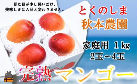 ≪今が旬！≫【家庭用】徳之島秋本農園さんの家庭用完熟マンゴー約1kg（2～4玉）