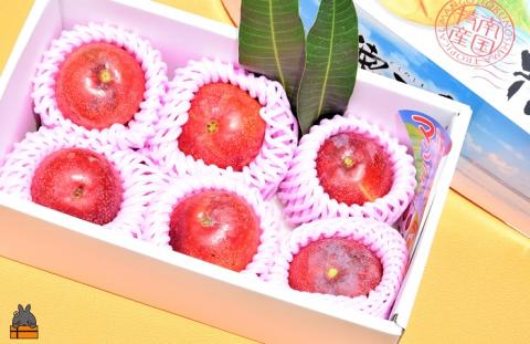 ≪今が旬！≫ティダ（太陽）の恵み！徳之島産完熟ミニマンゴー（1ｋｇ）