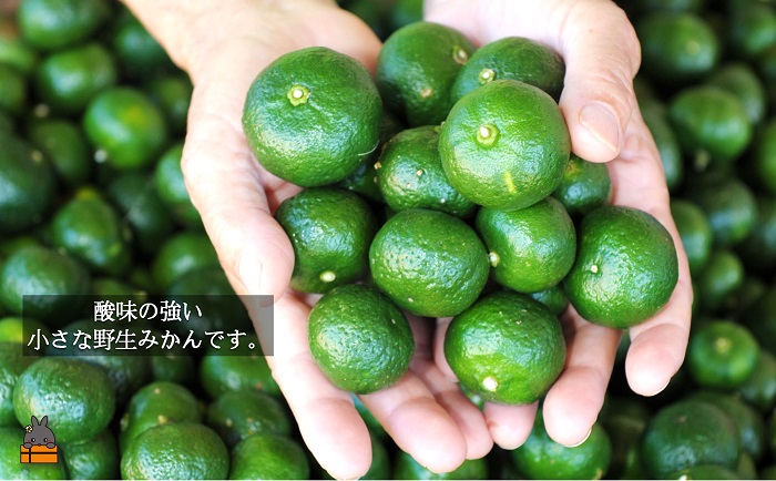 ～野生の島みかんの味～徳之島のヤマ・シークニン果汁（70ml×2本） ( 調味料 柑橘 果物 薬味 果汁 ドレッシング ドリンク ジュース ヤマシークニン 野生みかん 奄美 鹿児島 鍋 焼き魚 料理 お酒 焼酎 酸味 ダイキチ食品 )