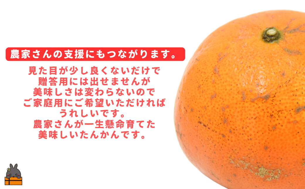 《先行予約》（家庭用）見た目は△！でも味は◎！徳之島産“もぎたて”たんかん（5kg） （ 訳あり 訳有 わけあり ワケ有 タンカン フルーツ みかん 果物 柑橘 甘い 徳之島 奄美 鹿児島 もぎたて フレッシュ 世界自然遺産 フルーツアイランド 先行予約）