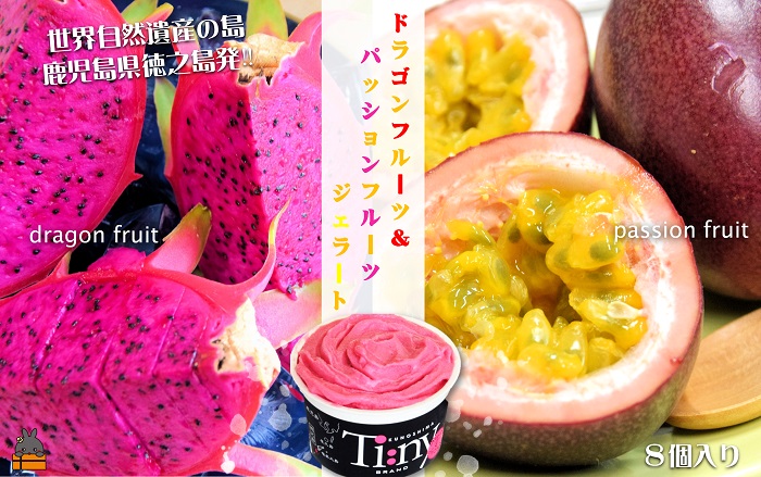 南の島の恵み！ドラゴン＆パッション プレミアムジェラート （8個入）( ジェラート アイス ドラゴンフルーツ パッションフルーツ 果物 フルーツ オリジナル 徳之島 奄美 鹿児島 スイーツ 美農里館 )