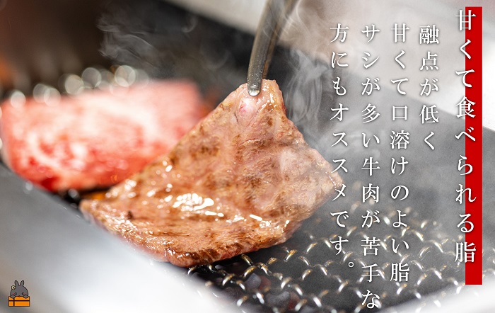 世界が絶賛した“とろける和牛”幻の石原牛 霜降り焼肉300g ( 鹿児島黒毛和牛 ブランド牛 牛肉 ビーフ こだわり プレミアム オメガ３脂肪酸 贈答 ギフト 徳之島 奄美 鹿児島 美味しい 霜降り 脂身 ステーキ 焼肉 BBQ 世界基準 石原PRO 決済後10日以内発送 )