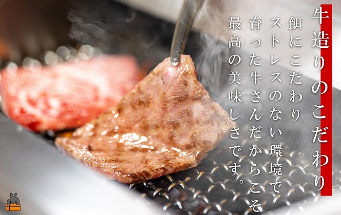 世界が絶賛した“とろける和牛”幻の石原牛 赤身・霜降り食べ比べ焼肉300g ( 鹿児島黒毛和牛 ブランド牛 牛肉 ビーフ こだわり プレミアム オメガ３脂肪酸 贈答 ギフト 徳之島 奄美 鹿児島 赤身 霜降り 脂身 ステーキ 焼肉 BBQ 世界基準 石原PRO 決済後10日以内発送 )
