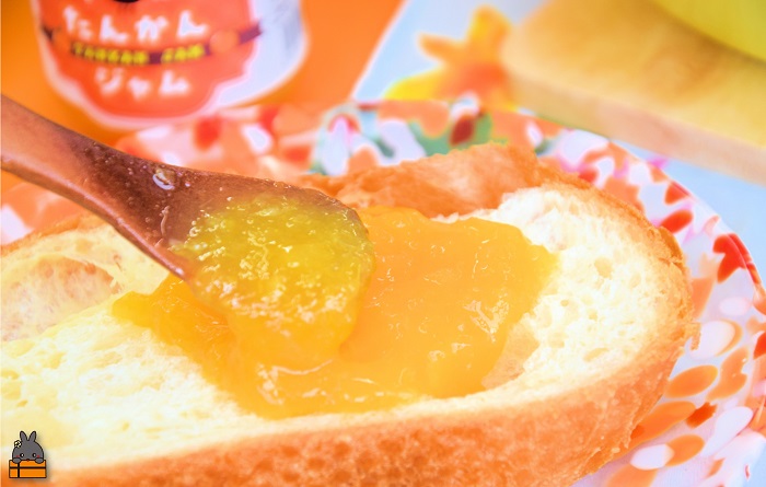 徳之島産完熟たんかん使用！低糖度の徳之島たんかんジャム（100g） （ たんかん タンカン 完熟 ジャム パン 朝ごはん 果物 フルーツ 柑橘 徳之島 奄美 鹿児島 美味しい キッチンこころ ）