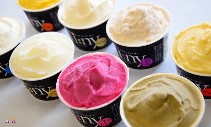 《年末（12月）お届け！》～島の素材をそのままに～プレミアムジェラート＆ソルベ 16個 （ アイス スイーツ スイーツ 食べ比べ 8種類 マンゴー パッションフルーツ ドラゴンフルーツ ラムレーズン タンカン 塩 アイスクリーム 洋菓子 徳之島 奄美 鹿児島 )