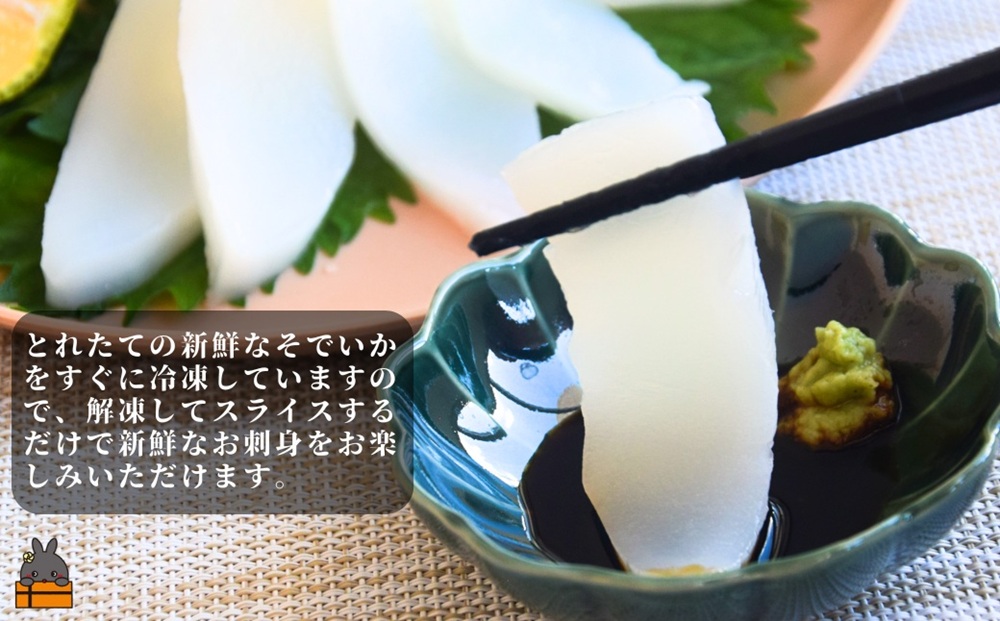 徳之島の漁師が荒波で釣り上げたそでいか 冷凍お刺身用小分け柵 1.5kg（約15人前） （ ソデイカ いか イカ 大型のいか 回遊 お刺身 甘い ねっとり 冷凍 新鮮 お寿司 料理 徳之島 奄美 沖縄 鹿児島 海鮮 umi-otoとくのしま ）