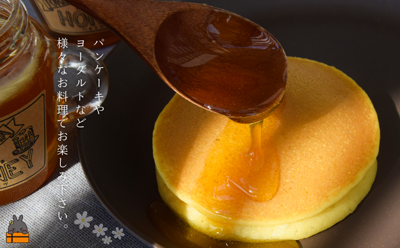 世界自然遺産の島から TOKUNOSHIMAの純粋ハチミツ（180g×2個） （ はちみつ 奄美 徳之島 鹿児島 調味料 宝果樹園 ）