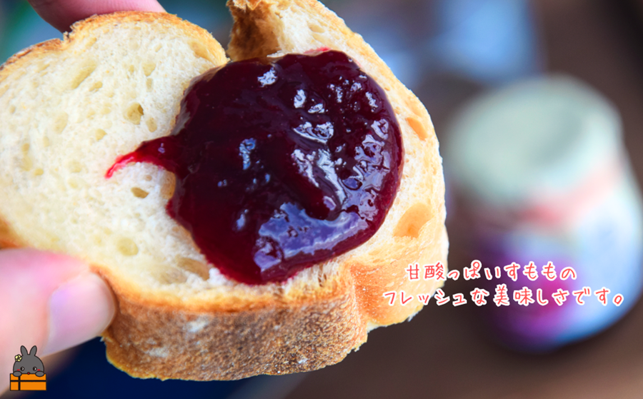 徳之島産すもも使用！低糖度の徳之島すももジャム（100g） （ すもも 完熟 ジャム パン 果物 フルーツ 徳之島 奄美 鹿児島 キッチンこころ ）