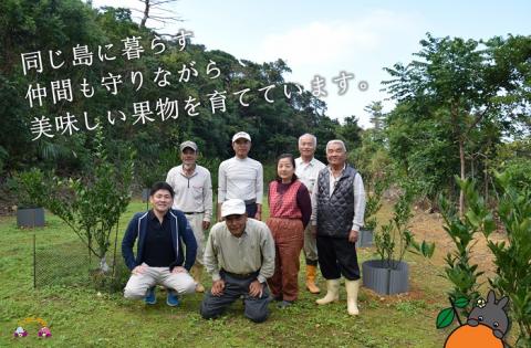 《まもなく旬！》～アマミノクロウサギと共生を目指す農家さんの徳之島産たんかん3kg ( たんかん 柑橘 フルーツ 果物 徳之島 鹿児島 奄美 フレッシュ ビタミン 美味しい オススメ 人気 自然保護 )