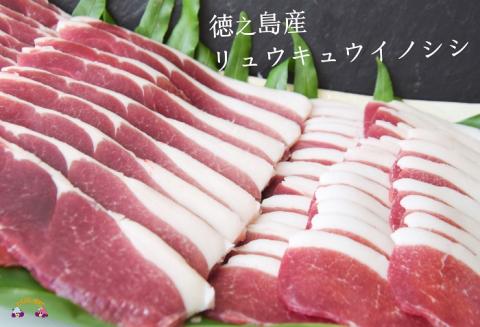 ～THEジビエ 自然を食べる。～リュウキュウイノシシ（モモ）