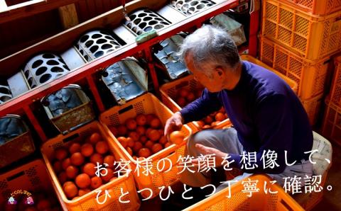 【家庭用】徳之島直島果樹園さんの家庭用たんかん5kg