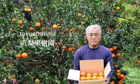 【家庭用】徳之島直島果樹園さんの家庭用たんかん10kg