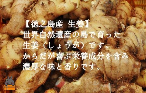 徳之島のしあわせ島ジャム200g（生姜：しょうが） ( ジャム パン フルーツ 果物 南国 南の島 贅沢 濃厚 美味しい 徳之島 鹿児島 美農里館 世界自然遺産 美味しい 人気 )