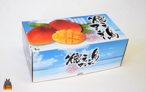 ≪2026年夏お届け！≫てぃだ（太陽）を浴びて育った徳之島産完熟マンゴー（1kg）( 先行予約 2026年 夏 マンゴー フルーツ 果物 完熟 無加温 徳之島 世界自然遺産 美味しい とろける 旬 贅沢 糖度 南の島 )