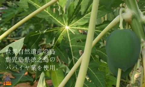 「お肉料理はこれで決まり!!」パパイヤスパイス（島とうがらし40g）