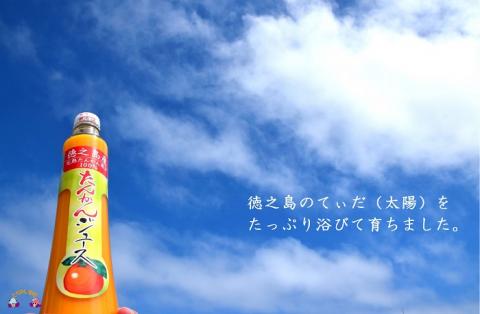【2024年収穫！】～果汁そのまま濃厚ジュース～ 徳之島のたんかんジュース（300ｃｃ×5本） ( フルーツ ジュース 果汁 果物 柑橘 徳之島 鹿児島 濃厚 贅沢 太陽 恵み 健康 美味しい 直島果樹園 )