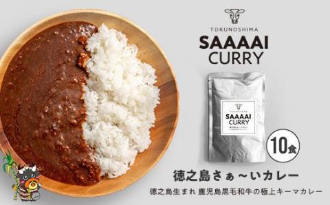 【世界遺産1周年記念】圧倒的肉感の徳之島“さぁ～い”カレー（10食）